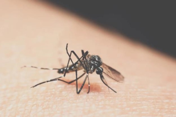 新聞?wù)故?></div>
                                </div>
                                                                <div   id=